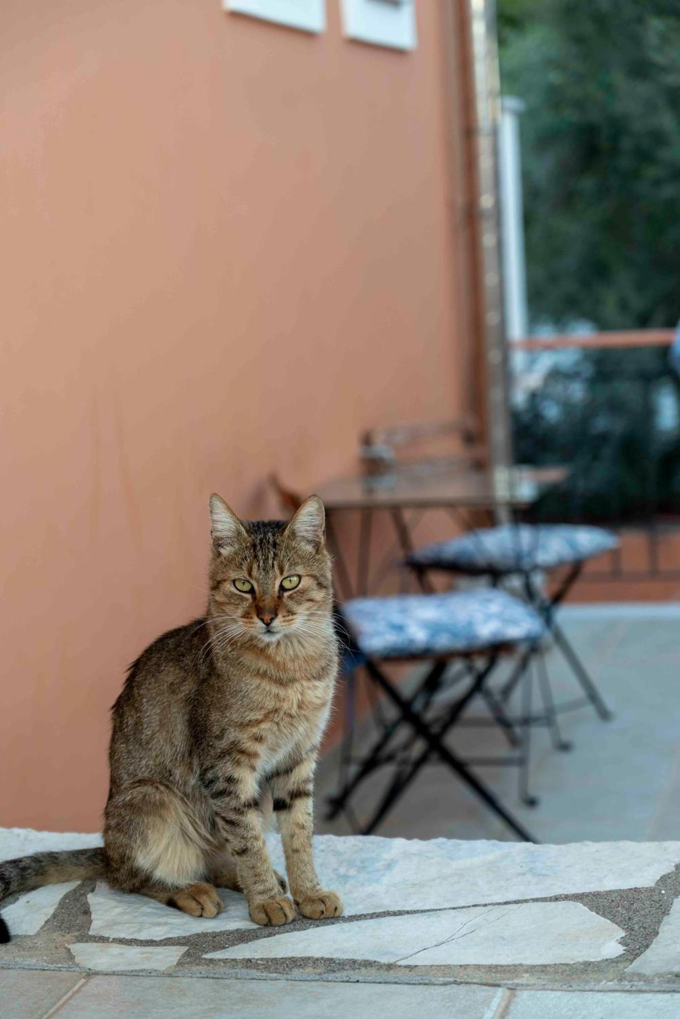 San Lazzaro Aparthotel Nydri  Luaran gambar